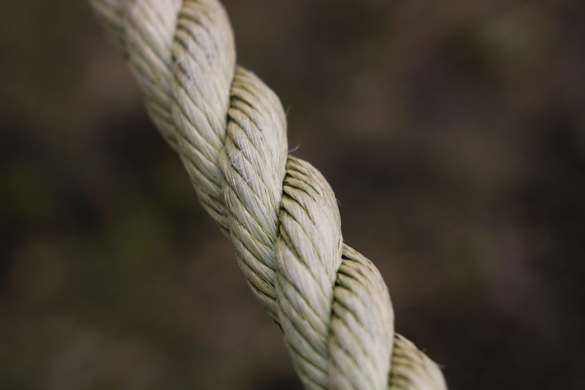 Double rope up close - Photo by Gwen Weustink